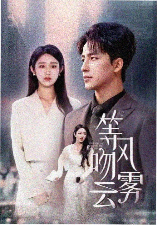 仔仔影视口碑榜首位《雾港夜航》缩略图